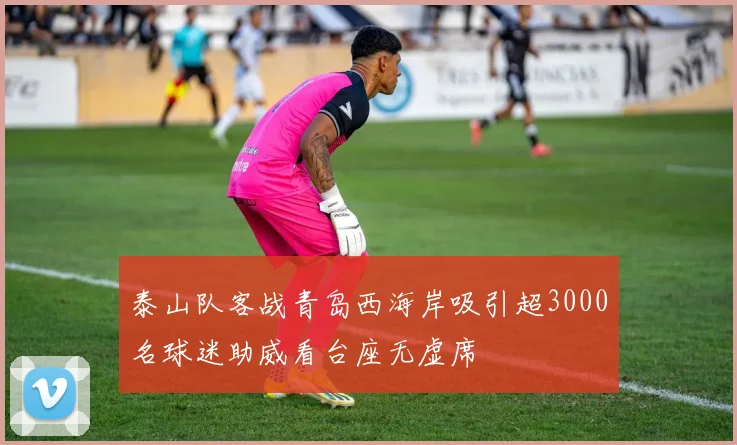 泰山队客战青岛西海岸吸引超3000名球迷助威看台座无虚席